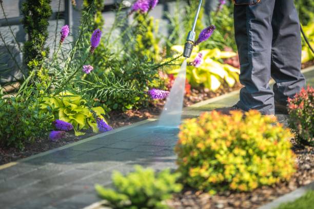 Best Warehouse Cleaning  in Tioga Terrace, NY